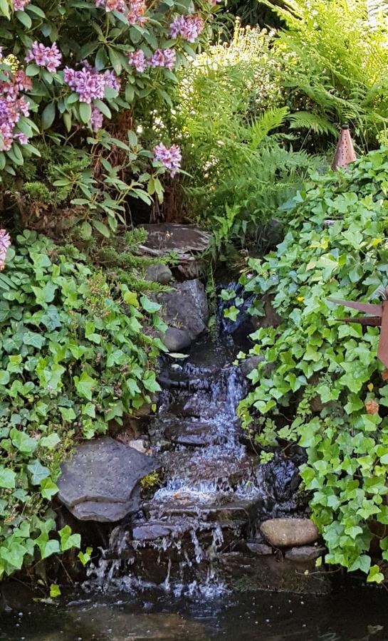 Five Seasuns Bed And Breakfast Port Angeles Εξωτερικό φωτογραφία